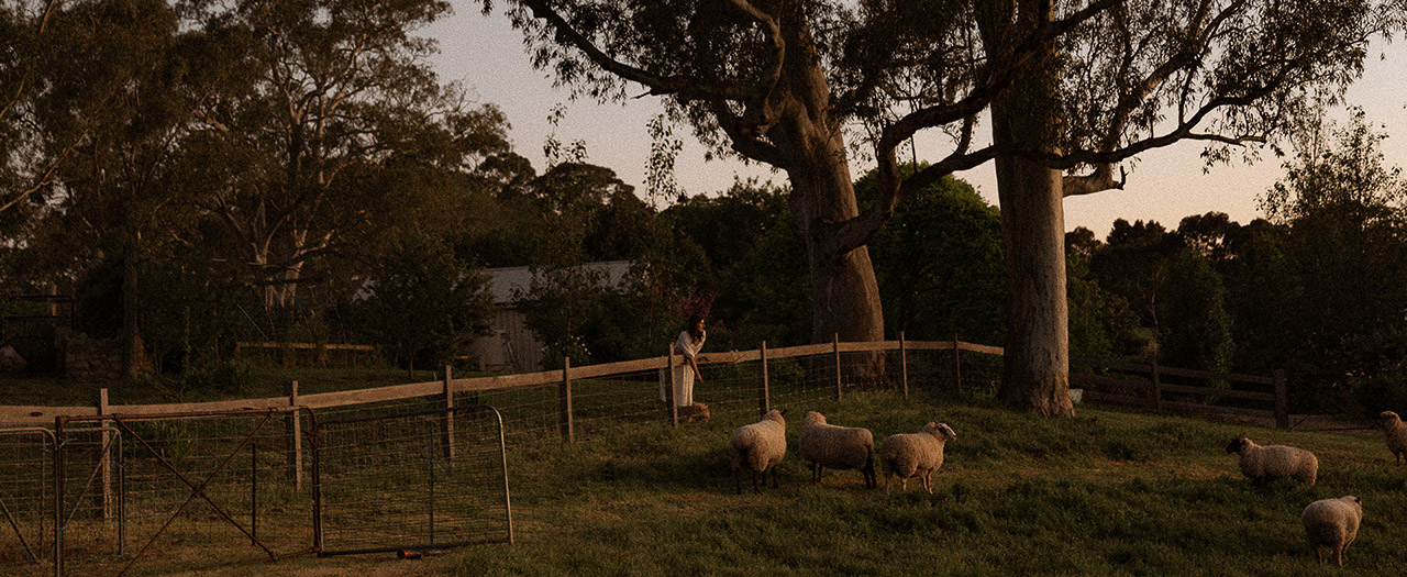 The Farmer & The {Florist} Interview: Morgan Allender