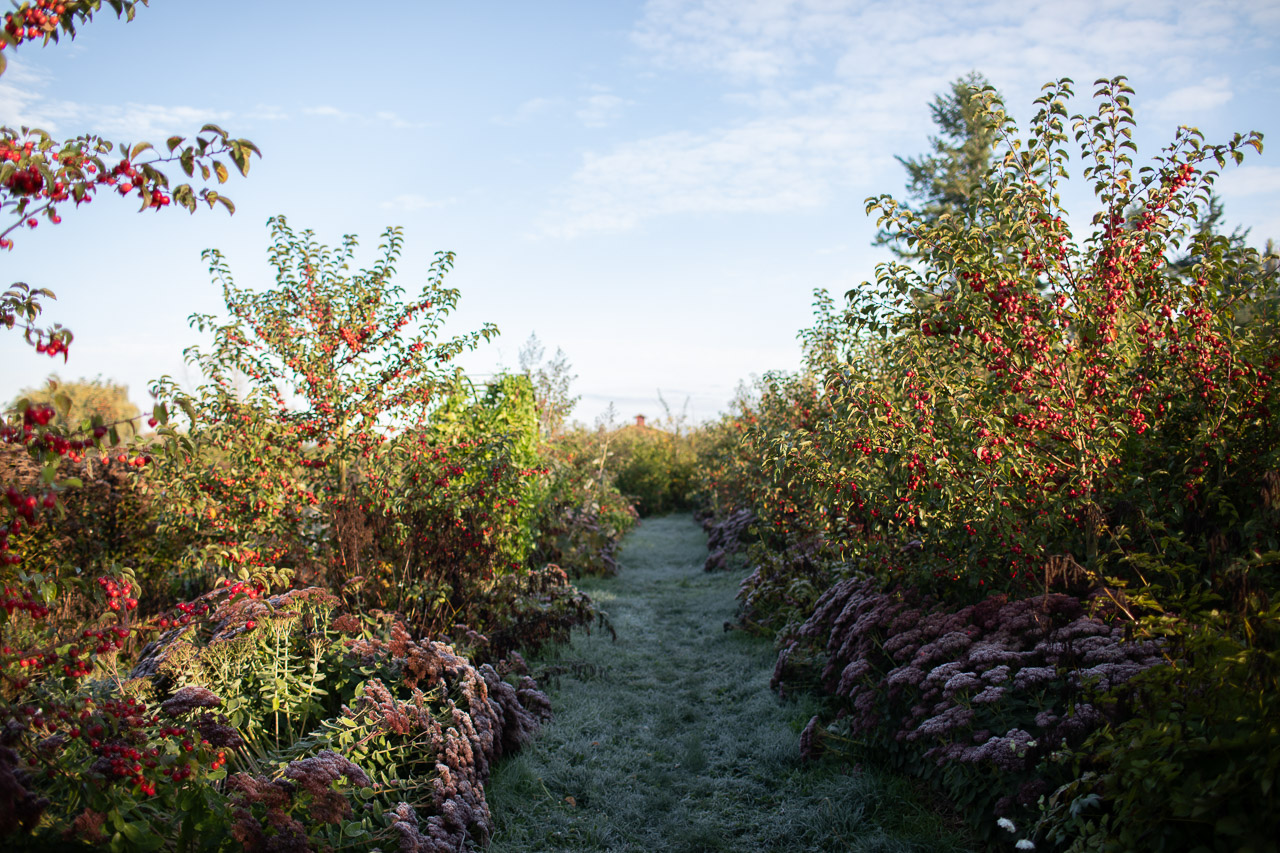 Meet the 2026 Floret Scholarship Winners