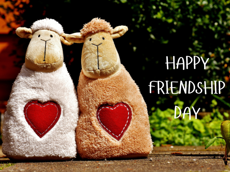Two plush sheep toys with red heart patches standing side by side on a sunny outdoor surface, with the text “Happy Friendship Day” written beside them against a green background