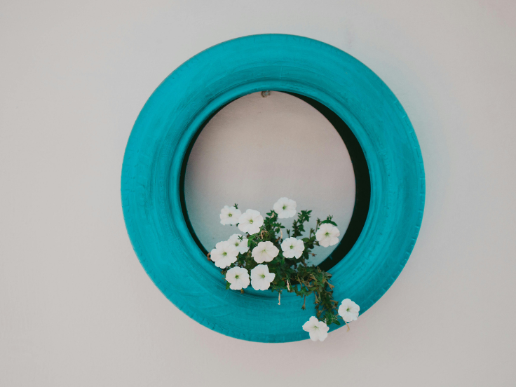 White flowers planted inside a repurposed turquoise tire hanging on a wall as an upcycled planter
