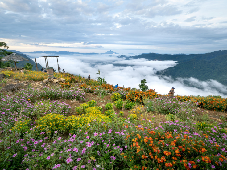 Colourful wildflowers blooming on a hillside with mist-covered valleys and distant mountain peaks under a cloudy sky