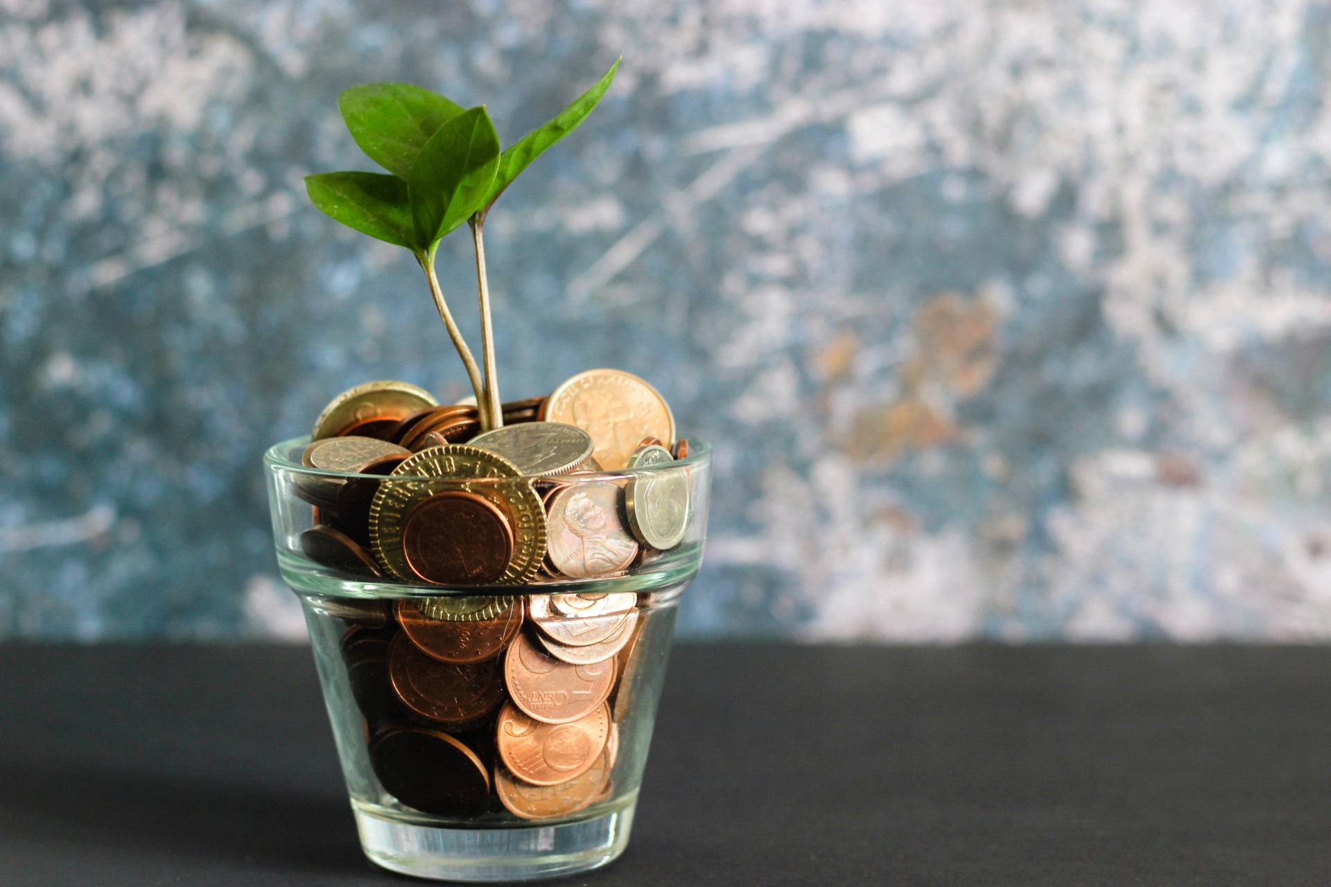 Photo of plant in a glass of coins. Photo by Micheile Henderson via Unsplash.