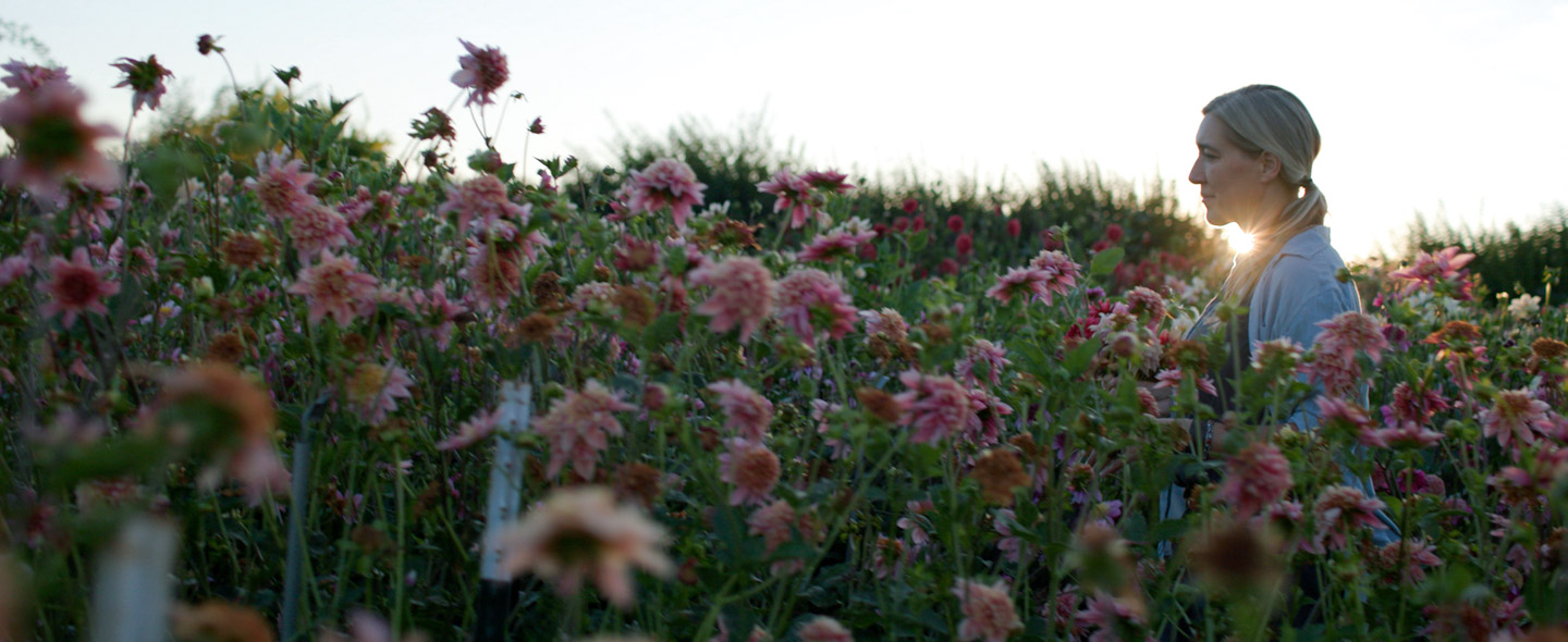 The Floret Farm Journal: August 2025