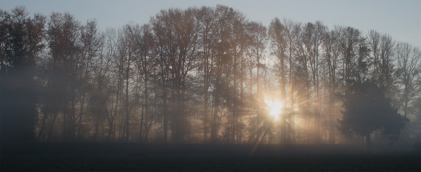 The Floret Farm Journal: November 2025