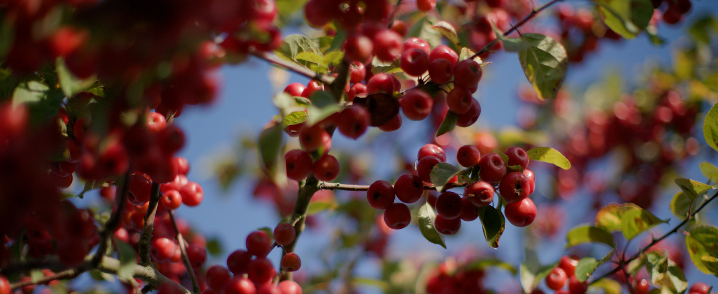 The Floret Farm Journal: October 2025